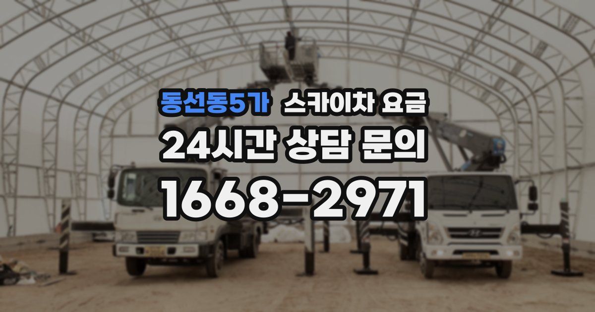 동선동5가 스카이차 요금