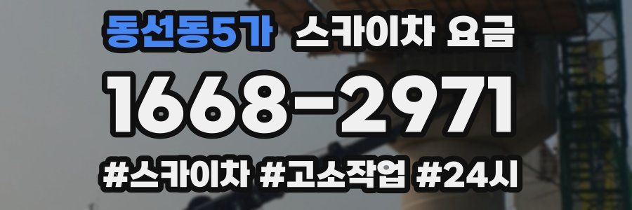 동선동5가 스카이차 요금