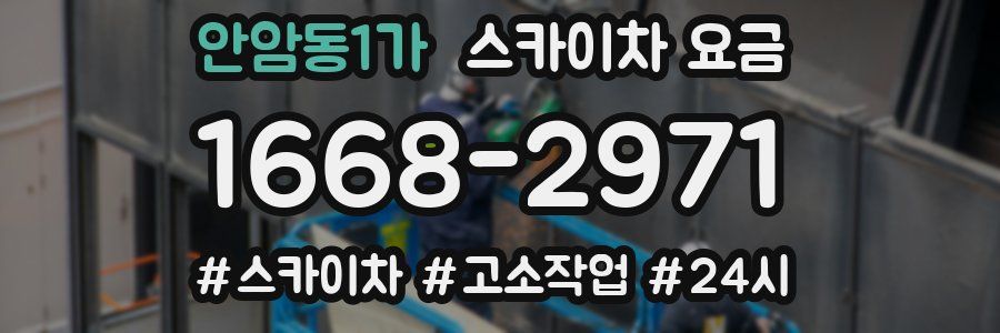 안암동1가 스카이차 요금