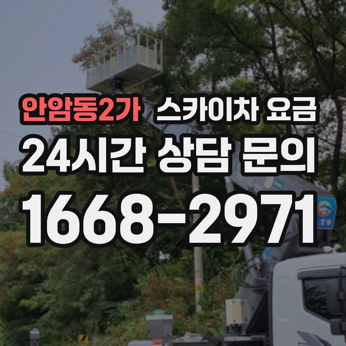 안암동2가 스카이차 요금