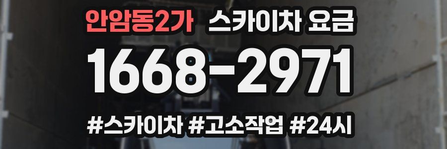 안암동2가 스카이차 요금