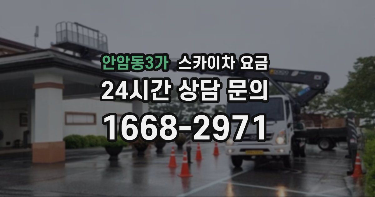안암동3가 스카이차 요금