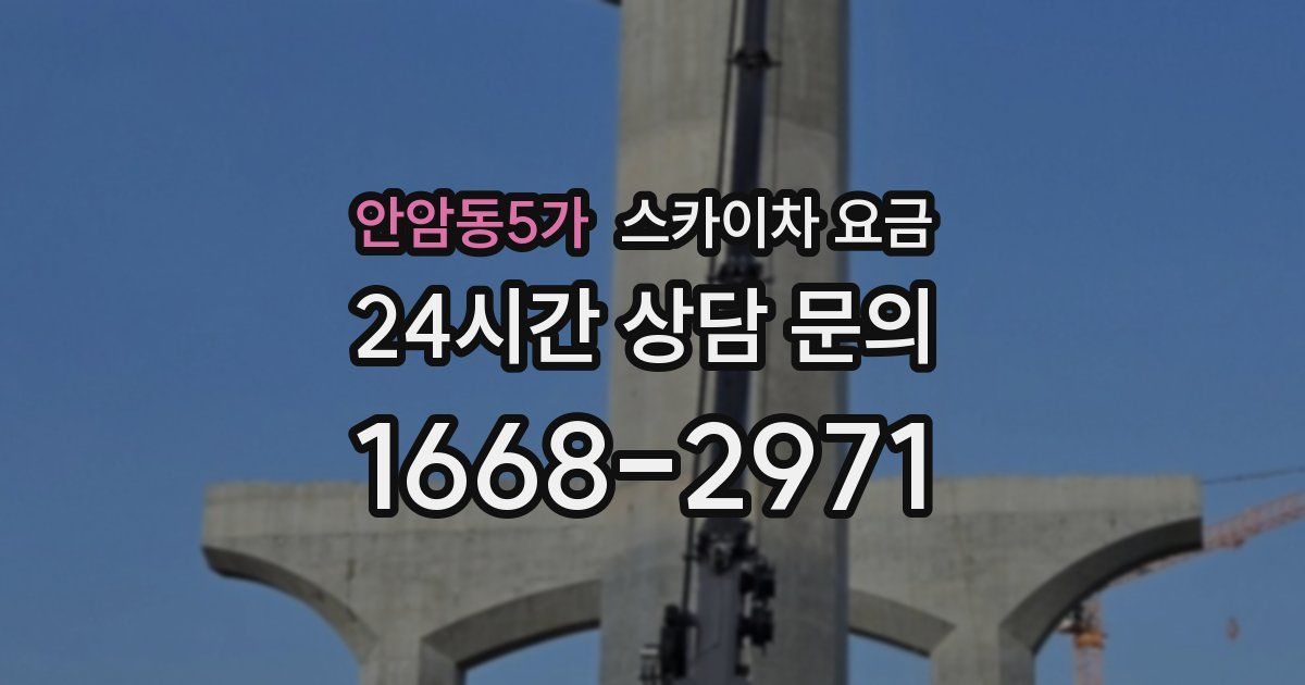 안암동5가 스카이차 요금