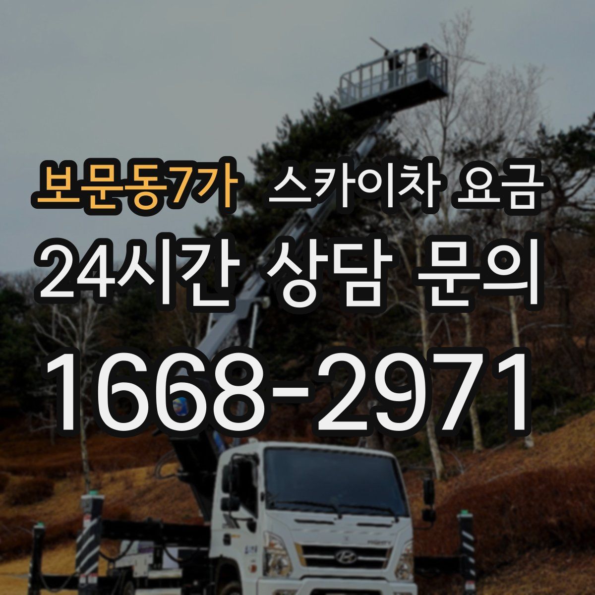 보문동7가 스카이차 요금