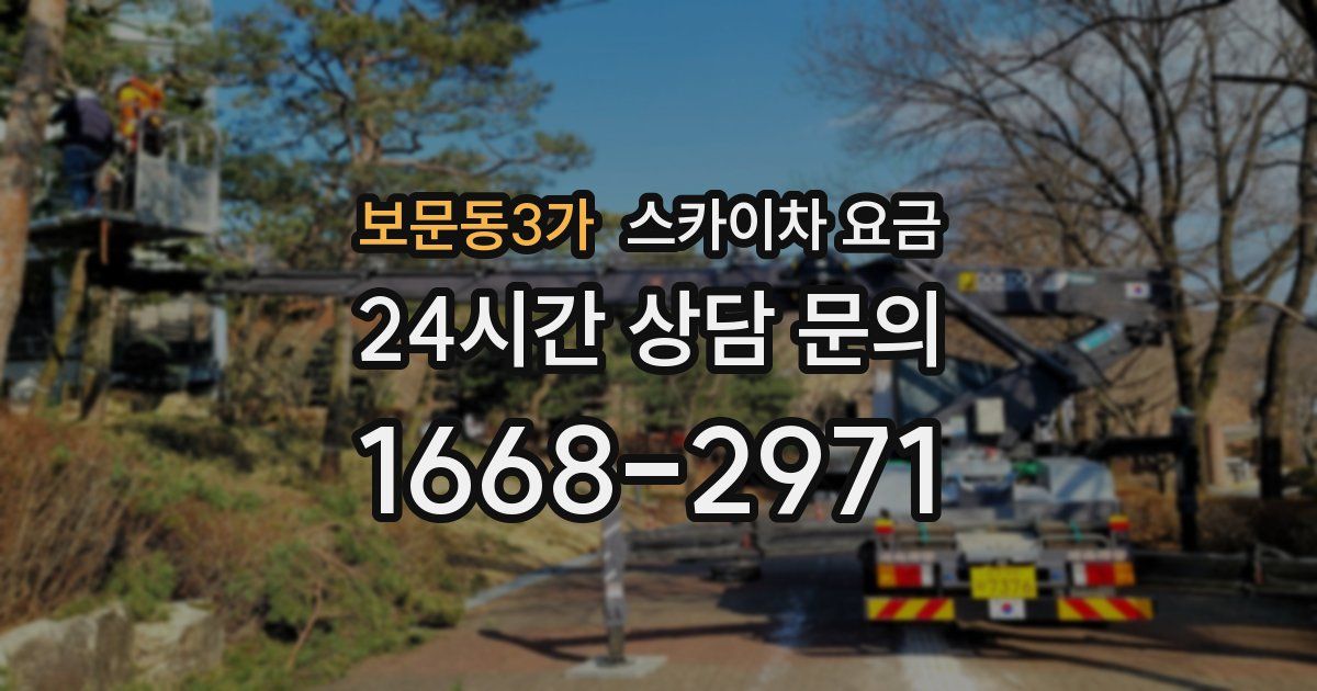 보문동3가 스카이차 요금