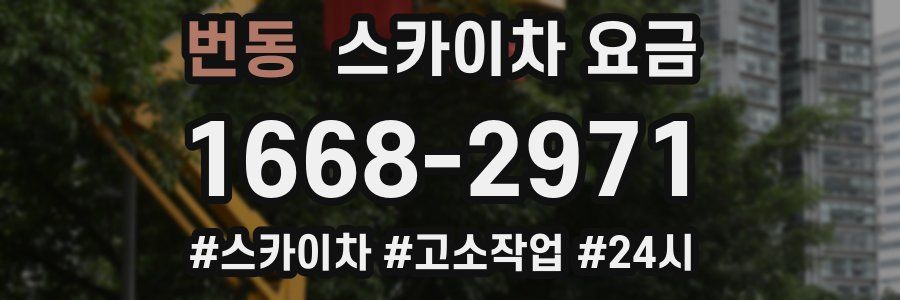 번동 스카이차 요금