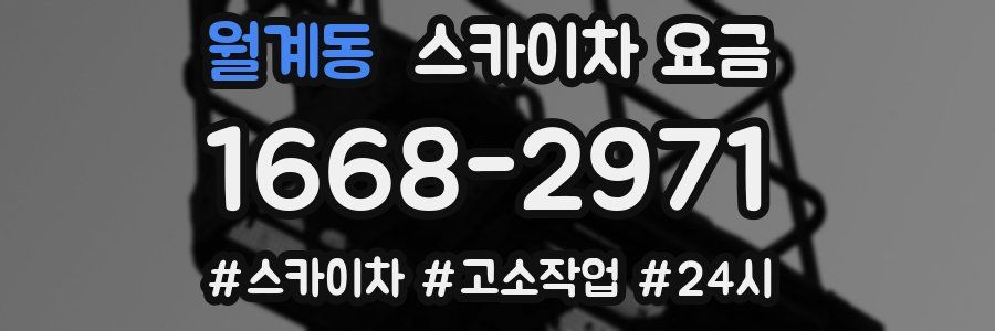 월계동 스카이차 요금