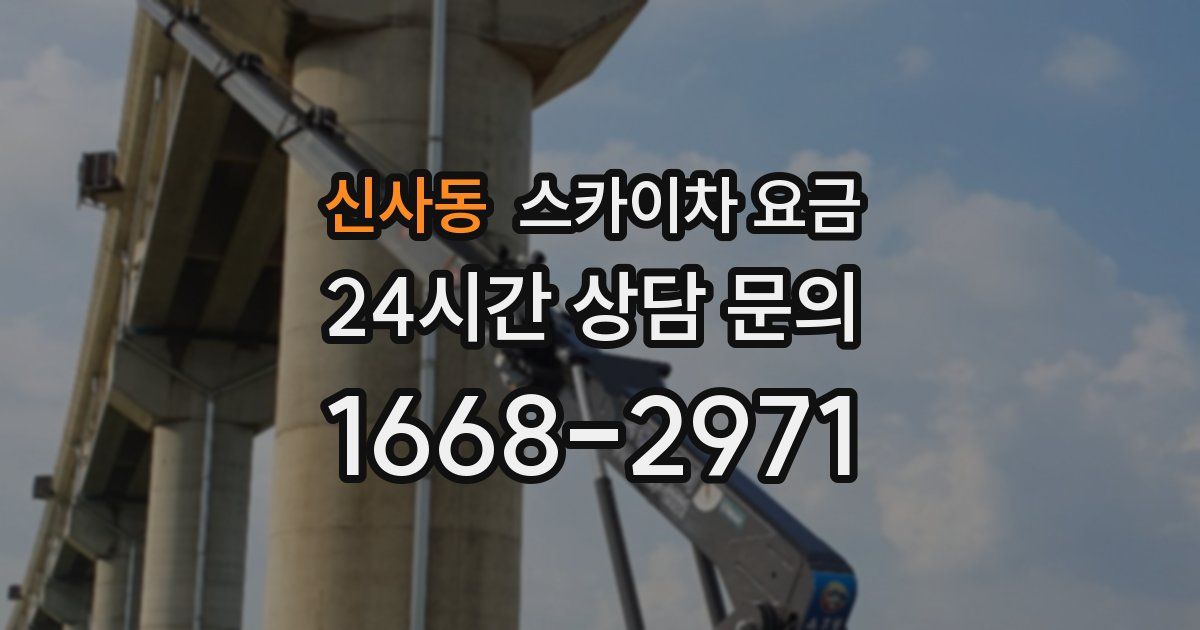 신사동 스카이차 요금