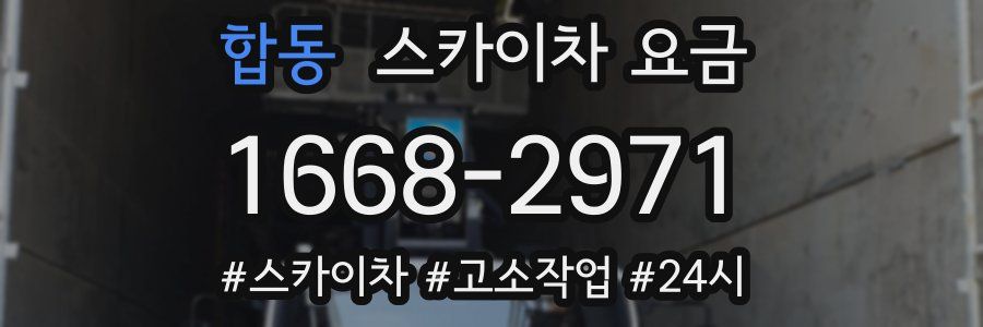 합동 스카이차 요금