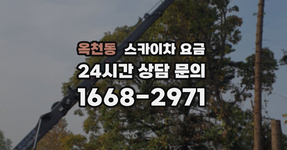 옥천동 스카이차 요금