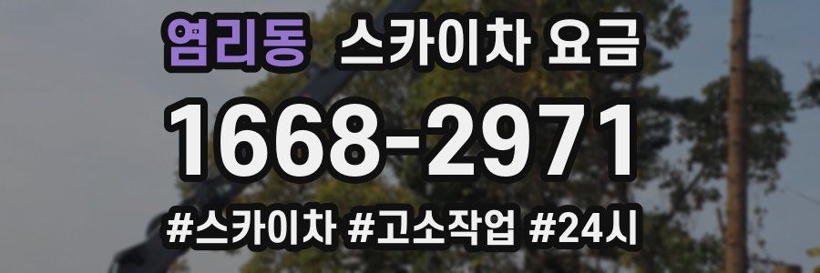 염리동 스카이차 요금
