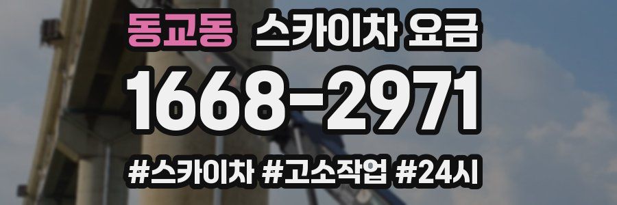 동교동 스카이차 요금