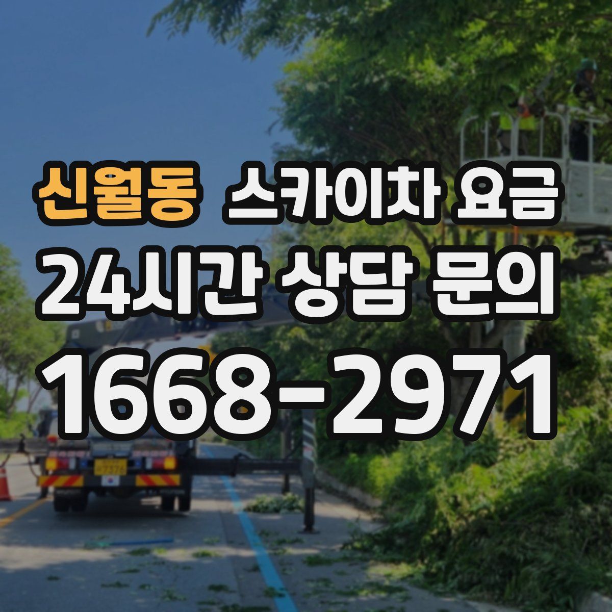 신월동 스카이차 요금