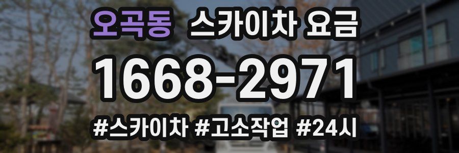 오곡동 스카이차 요금