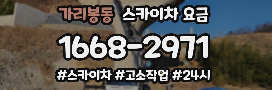가리봉동 스카이차 요금