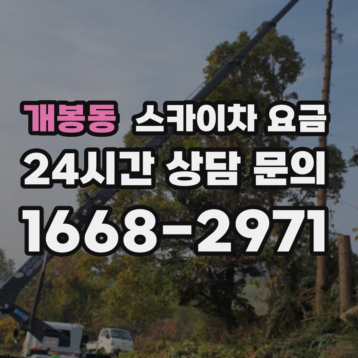 개봉동 스카이차 요금