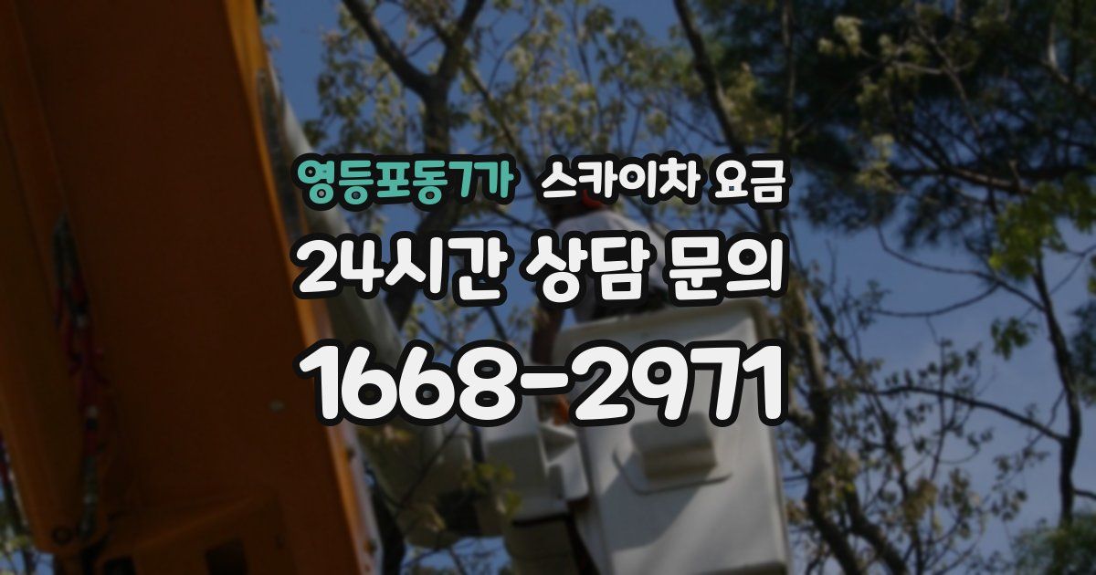 영등포동7가 스카이차 요금