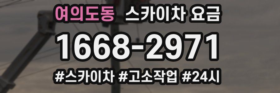 여의도동 스카이차 요금