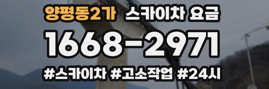 양평동2가 스카이차 요금
