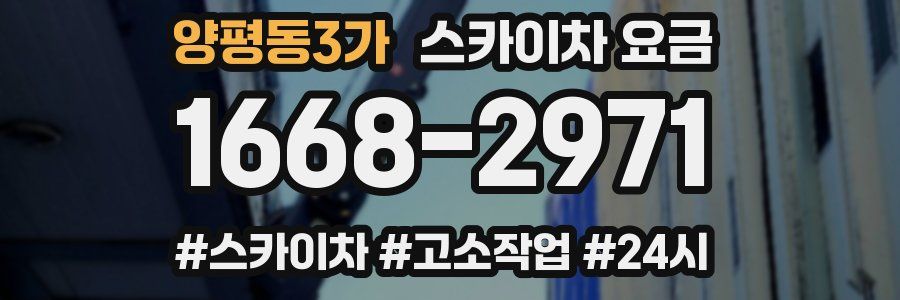 양평동3가 스카이차 요금