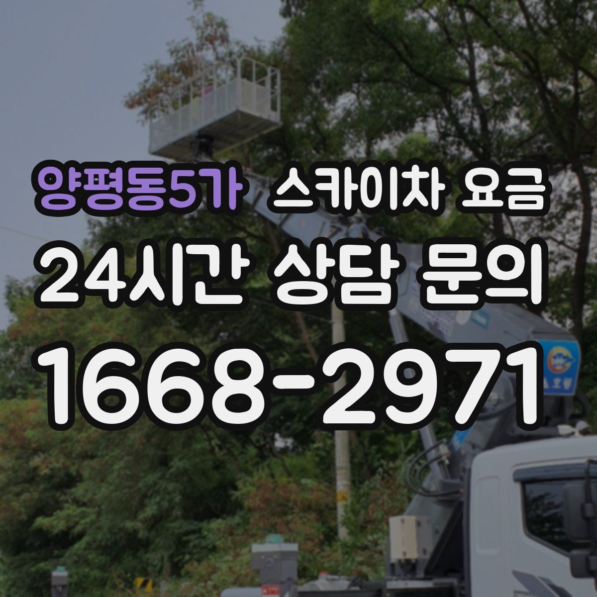 양평동5가 스카이차 요금