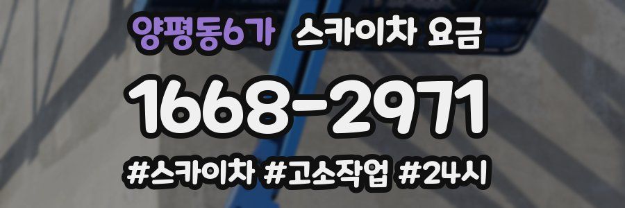 양평동6가 스카이차 요금