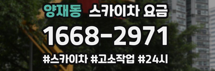 양재동 스카이차 요금