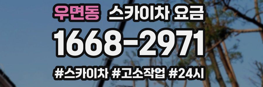 우면동 스카이차 요금