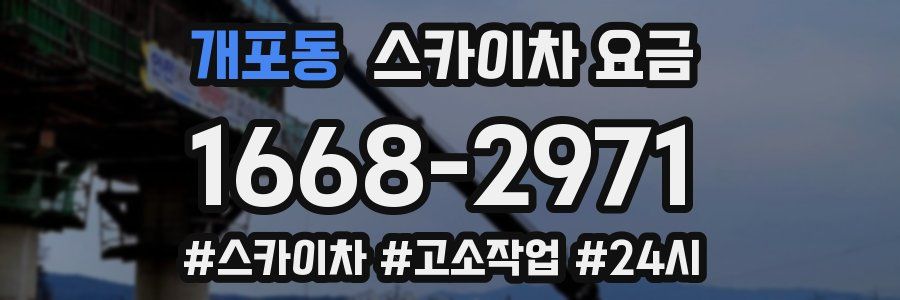 개포동 스카이차 요금