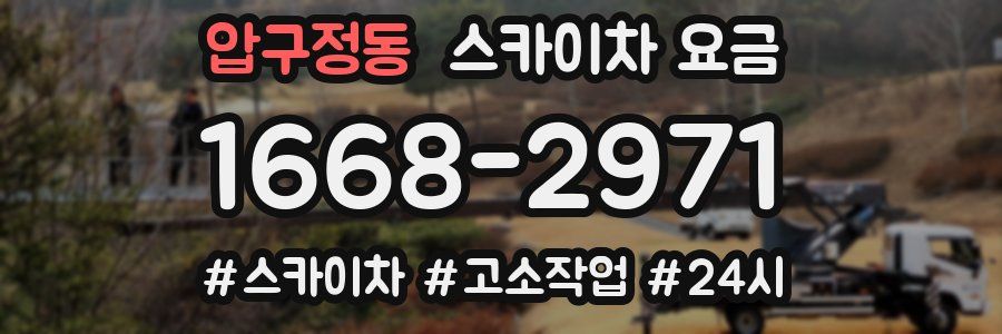 압구정동 스카이차 요금