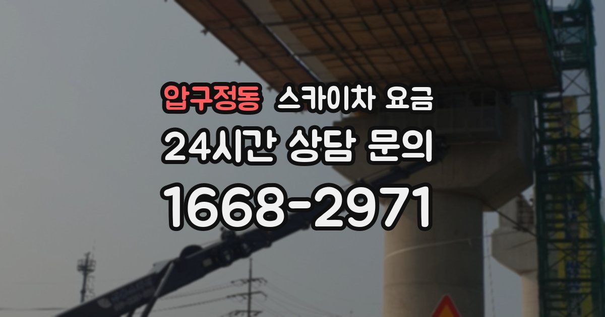 압구정동 스카이차 요금