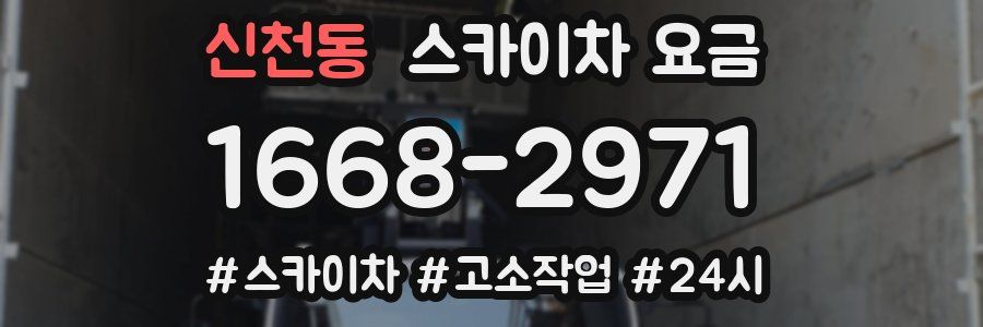 신천동 스카이차 요금