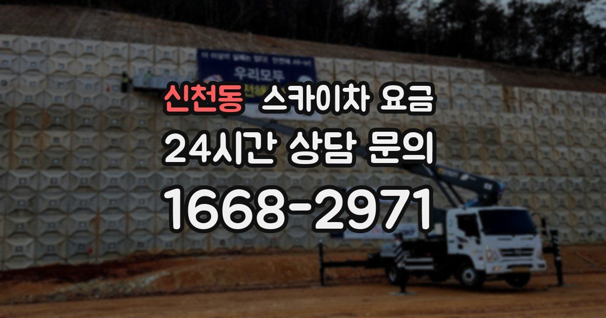 신천동 스카이차 요금