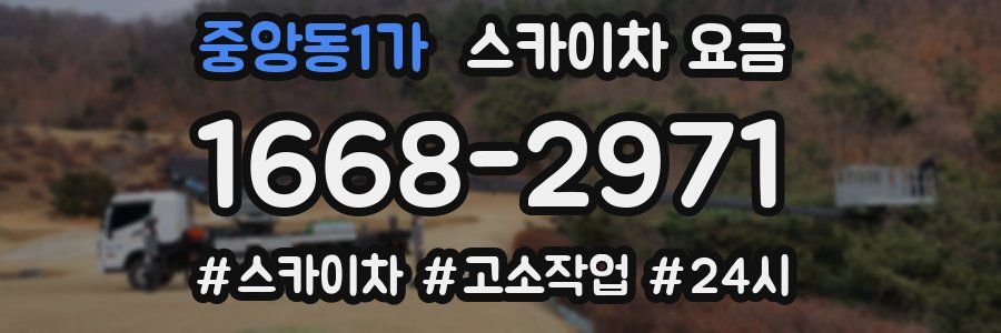중앙동1가 스카이차 요금