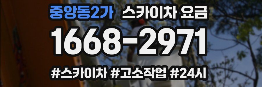 중앙동2가 스카이차 요금