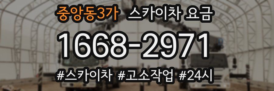 중앙동3가 스카이차 요금