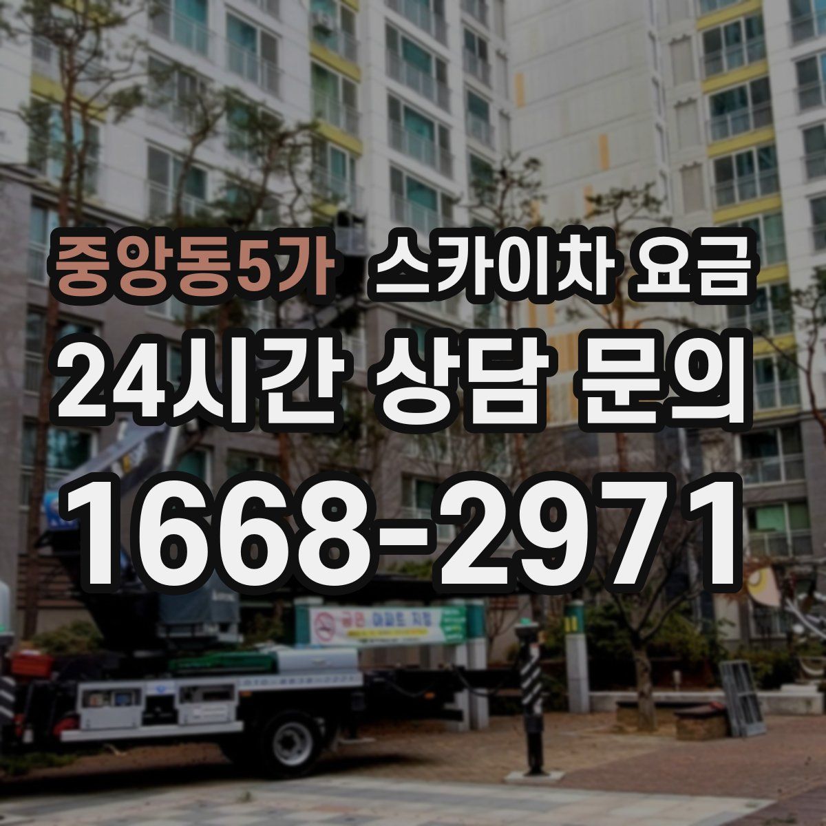중앙동5가 스카이차 요금