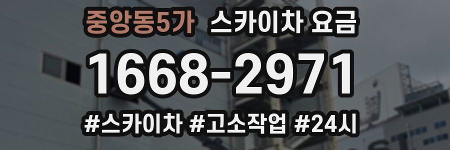 중앙동5가 스카이차 요금