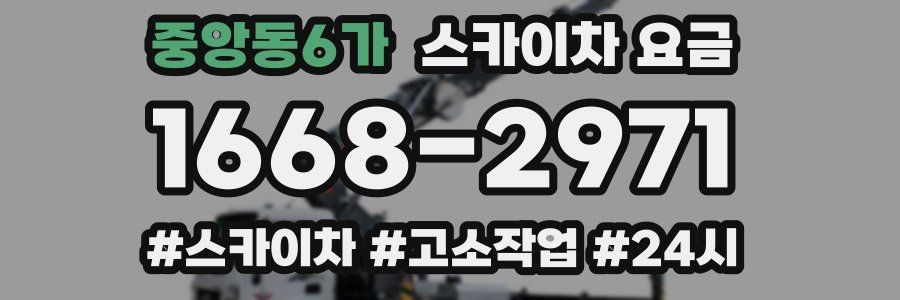 중앙동6가 스카이차 요금