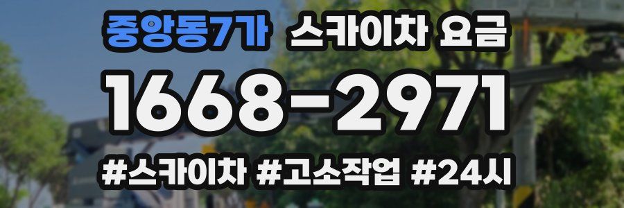 중앙동7가 스카이차 요금