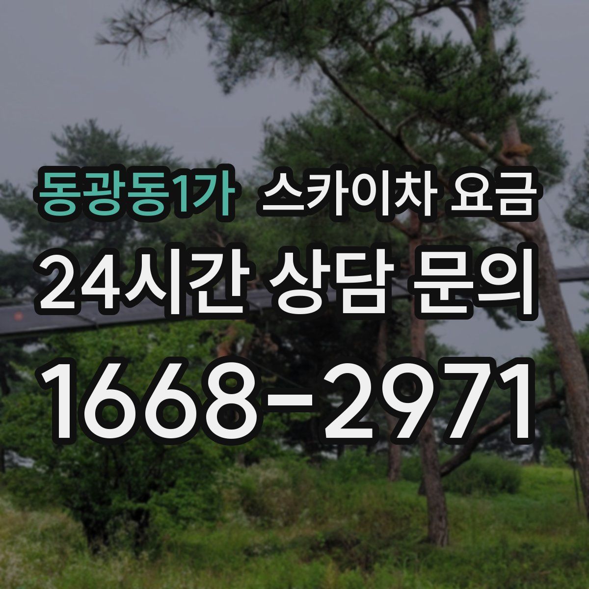 동광동1가 스카이차 요금