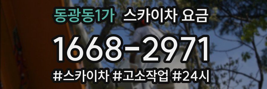 동광동1가 스카이차 요금