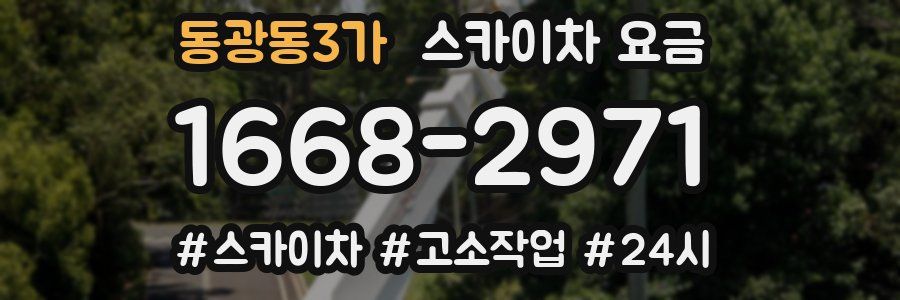 동광동3가 스카이차 요금