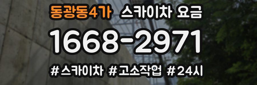동광동4가 스카이차 요금