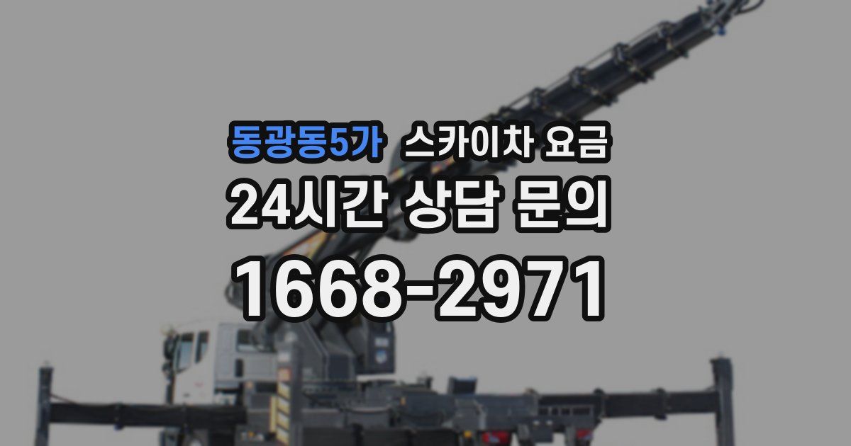 동광동5가 스카이차 요금
