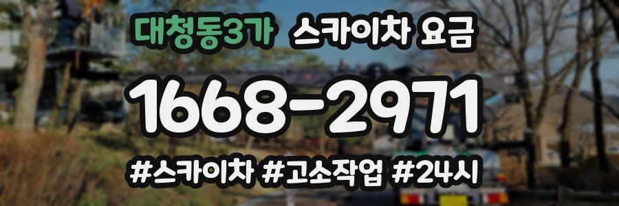 대청동3가 스카이차 요금