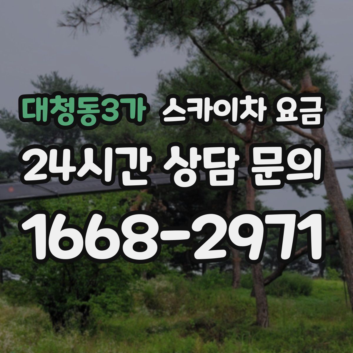 대청동3가 스카이차 요금