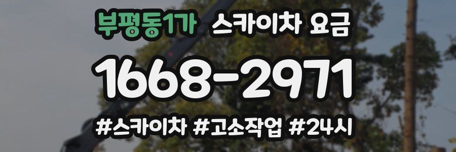 부평동1가 스카이차 요금
