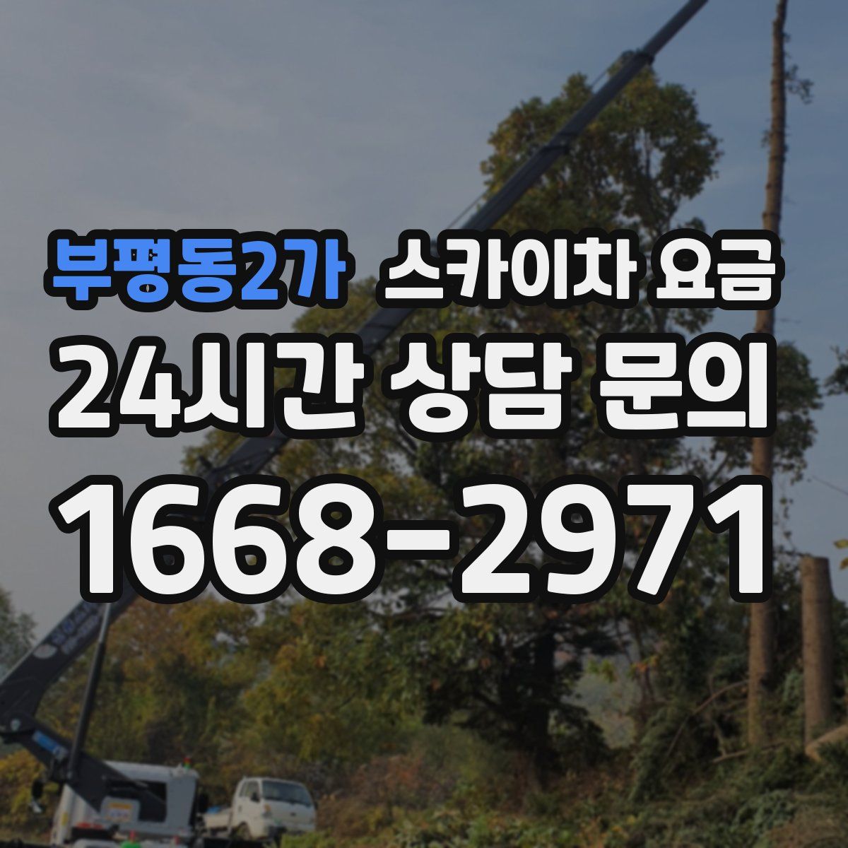 부평동2가 스카이차 요금