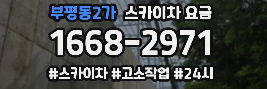 부평동2가 스카이차 요금